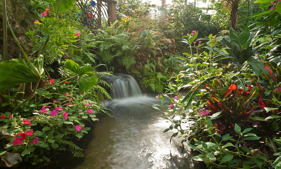 Butterfly Rainforest