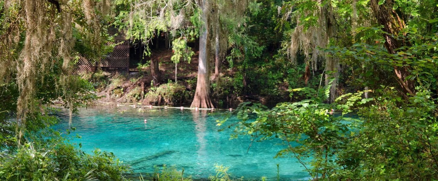 Florida springs