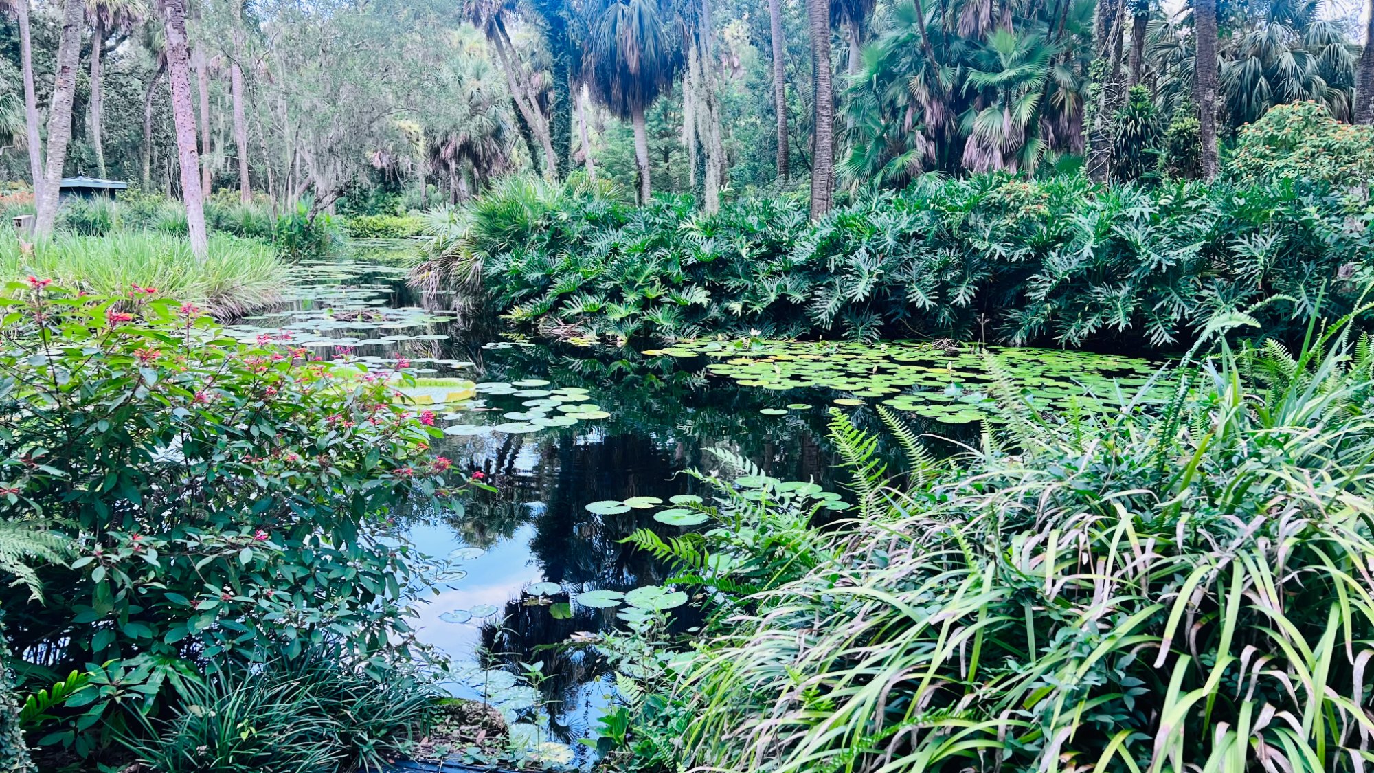 Kanapaha Botanical Gardens